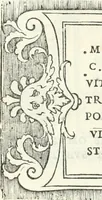 An illustration from Epigrammata antiqvae vrbis .. (1521)