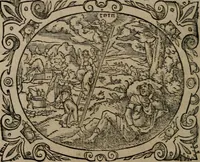 Picture 53 of 389 from Epigrammata Philippi Melanthonis selectiora : formvlis precvm, historiis, paraphrasi dictorum diuinorum, & sententijs grauissimis maxime insignia (1583), leaf 113