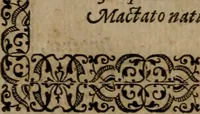 Picture 125 of 389 from Epigrammata Philippi Melanthonis selectiora : formvlis precvm, historiis, paraphrasi dictorum diuinorum, & sententijs grauissimis maxime insignia (1583), leaf 259