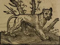 Picture 180 of 389 from Epigrammata Philippi Melanthonis selectiora : formvlis precvm, historiis, paraphrasi dictorum diuinorum, & sententijs grauissimis maxime insignia (1583), leaf 310