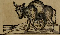Picture 181 of 389 from Epigrammata Philippi Melanthonis selectiora : formvlis precvm, historiis, paraphrasi dictorum diuinorum, & sententijs grauissimis maxime insignia (1583), leaf 312