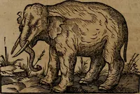 An illustration from Epigrammata Philippi Melanthonis selectiora : formvlis precvm, historiis, paraphrasi dictorum diuinorum, & sententijs grauissimis maxime insignia (1583)