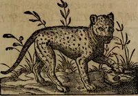 Picture 191 of 389 from Epigrammata Philippi Melanthonis selectiora : formvlis precvm, historiis, paraphrasi dictorum diuinorum, & sententijs grauissimis maxime insignia (1583), leaf 322
