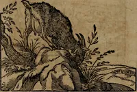 An illustration from Epigrammata Philippi Melanthonis selectiora : formvlis precvm, historiis, paraphrasi dictorum diuinorum, & sententijs grauissimis maxime insignia (1583)
