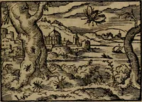 Picture 201 of 389 from Epigrammata Philippi Melanthonis selectiora : formvlis precvm, historiis, paraphrasi dictorum diuinorum, & sententijs grauissimis maxime insignia (1583), leaf 332