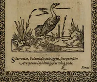 Picture 206 of 389 from Epigrammata Philippi Melanthonis selectiora : formvlis precvm, historiis, paraphrasi dictorum diuinorum, & sententijs grauissimis maxime insignia (1583), leaf 338