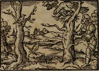 Picture 212 of 389 from Epigrammata Philippi Melanthonis selectiora : formvlis precvm, historiis, paraphrasi dictorum diuinorum, & sententijs grauissimis maxime insignia (1583), leaf 345
