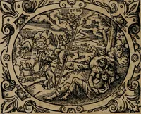 Picture 18 of 389 from Epigrammata Philippi Melanthonis selectiora : formvlis precvm, historiis, paraphrasi dictorum diuinorum, & sententijs grauissimis maxime insignia (1583), leaf 49