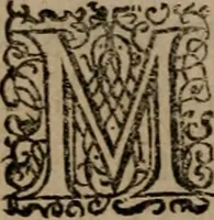 Picture 382 of 389 from Epigrammata Philippi Melanthonis selectiora : formvlis precvm, historiis, paraphrasi dictorum diuinorum, & sententijs grauissimis maxime insignia (1583), leaf 599