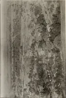 An illustration from Epigraphia carnatica. By B. Lewis Rice, Director of Archaeological Researches in Mysore (1894)