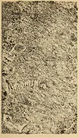 An illustration from Epigraphia carnatica. By B. Lewis Rice, Director of Archaeological Researches in Mysore (1894)