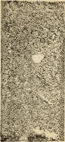 An illustration from Epigraphia carnatica. By B. Lewis Rice, Director of Archaeological Researches in Mysore (1894)