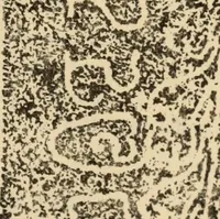 An illustration from Epigraphia carnatica. By B. Lewis Rice, Director of Archaeological Researches in Mysore (1894)