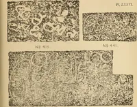 An illustration from Epigraphia carnatica. By B. Lewis Rice, Director of Archaeological Researches in Mysore (1894)