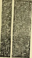 An illustration from Epigraphia carnatica. By B. Lewis Rice, Director of Archaeological Researches in Mysore (1894)