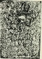 An illustration from Epigraphia carnatica. By B. Lewis Rice, Director of Archaeological Researches in Mysore (1894)