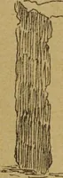 An illustration from Epigraphie romaine du Poitou & de la Saintonge (1888)