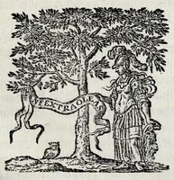 An illustration from Epistola ad clariss. virum D.D. Isaacum Vossium, ubi judicium fertur super ipsius libro De natura et proprietate lucis, & simul Cartesii doctrina defenditur (1663)
