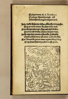 An illustration from Epistola de insulis de nouo repertis