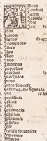 An illustration from Epistole Heroides Publii Ouidii Nasonis : dilgenti castgatione exculte, aptissimisq[ue] figuris ornate (1536)