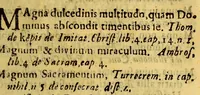 An illustration from Epitheta, laudes, et encomia Divinae Eucharistiae, ex jure canonico, et Sanctis Patribus, ac alijs authoribus collecta, per Doct. D. Didacum Andream Rocha Hispalensem, Regalis Cancellariae Limensis, criminum quaestorem & iudicem. (1674)