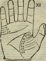 An illustration from Epitoma chyromantico di Patritio Tricasso da Cerasari Mantouano : nel quale si contiene tutte l'opere per esso Tricasso in questa scientia composte, con assai figure, & dichiarationi agiunte ; facilissimo ad imparare, & in breuissimo tempo (1538)