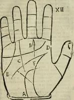 An illustration from Epitoma chyromantico di Patritio Tricasso da Cerasari Mantouano : nel quale si contiene tutte l'opere per esso Tricasso in questa scientia composte, con assai figure, & dichiarationi agiunte ; facilissimo ad imparare, & in breuissimo tempo (1538)