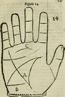 An illustration from Epitoma chyromantico di Patritio Tricasso da Cerasari Mantouano : nel quale si contiene tutte l'opere per esso Tricasso in questa scientia composte, con assai figure, & dichiarationi agiunte ; facilissimo ad imparare, & in breuissimo tempo (1538)