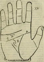 An illustration from Epitoma chyromantico di Patritio Tricasso da Cerasari Mantouano : nel quale si contiene tutte l'opere per esso Tricasso in questa scientia composte, con assai figure, & dichiarationi agiunte ; facilissimo ad imparare, & in breuissimo tempo (1538)