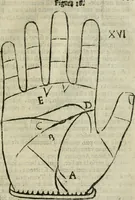 An illustration from Epitoma chyromantico di Patritio Tricasso da Cerasari Mantouano : nel quale si contiene tutte l'opere per esso Tricasso in questa scientia composte, con assai figure, & dichiarationi agiunte ; facilissimo ad imparare, & in breuissimo tempo (1538)