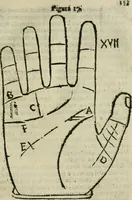 An illustration from Epitoma chyromantico di Patritio Tricasso da Cerasari Mantouano : nel quale si contiene tutte l'opere per esso Tricasso in questa scientia composte, con assai figure, & dichiarationi agiunte ; facilissimo ad imparare, & in breuissimo tempo (1538)