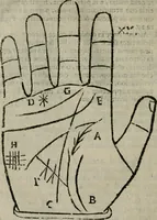 Picture 21 of 80 from Epitoma chyromantico di Patritio Tricasso da Cerasari Mantouano : nel quale si contiene tutte l'opere per esso Tricasso in questa scientia composte, con assai figure, & dichiarationi agiunte ; facilissimo ad imparare, & in breuissimo tempo (1538), leaf 171