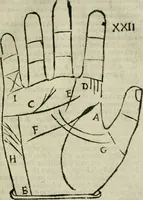 An illustration from Epitoma chyromantico di Patritio Tricasso da Cerasari Mantouano : nel quale si contiene tutte l'opere per esso Tricasso in questa scientia composte, con assai figure, & dichiarationi agiunte ; facilissimo ad imparare, & in breuissimo tempo (1538)