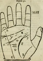 An illustration from Epitoma chyromantico di Patritio Tricasso da Cerasari Mantouano : nel quale si contiene tutte l'opere per esso Tricasso in questa scientia composte, con assai figure, & dichiarationi agiunte ; facilissimo ad imparare, & in breuissimo tempo (1538)