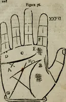 An illustration from Epitoma chyromantico di Patritio Tricasso da Cerasari Mantouano : nel quale si contiene tutte l'opere per esso Tricasso in questa scientia composte, con assai figure, & dichiarationi agiunte ; facilissimo ad imparare, & in breuissimo tempo (1538)