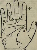 An illustration from Epitoma chyromantico di Patritio Tricasso da Cerasari Mantouano : nel quale si contiene tutte l'opere per esso Tricasso in questa scientia composte, con assai figure, & dichiarationi agiunte ; facilissimo ad imparare, & in breuissimo tempo (1538)
