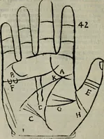 An illustration from Epitoma chyromantico di Patritio Tricasso da Cerasari Mantouano : nel quale si contiene tutte l'opere per esso Tricasso in questa scientia composte, con assai figure, & dichiarationi agiunte ; facilissimo ad imparare, & in breuissimo tempo (1538)