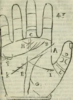 Picture 43 of 80 from Epitoma chyromantico di Patritio Tricasso da Cerasari Mantouano : nel quale si contiene tutte l'opere per esso Tricasso in questa scientia composte, con assai figure, & dichiarationi agiunte ; facilissimo ad imparare, & in breuissimo tempo (1538), leaf 236