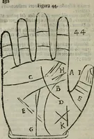 An illustration from Epitoma chyromantico di Patritio Tricasso da Cerasari Mantouano : nel quale si contiene tutte l'opere per esso Tricasso in questa scientia composte, con assai figure, & dichiarationi agiunte ; facilissimo ad imparare, & in breuissimo tempo (1538)