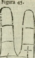 Picture 46 of 80 from Epitoma chyromantico di Patritio Tricasso da Cerasari Mantouano : nel quale si contiene tutte l'opere per esso Tricasso in questa scientia composte, con assai figure, & dichiarationi agiunte ; facilissimo ad imparare, & in breuissimo tempo (1538), leaf 242