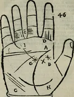 An illustration from Epitoma chyromantico di Patritio Tricasso da Cerasari Mantouano : nel quale si contiene tutte l'opere per esso Tricasso in questa scientia composte, con assai figure, & dichiarationi agiunte ; facilissimo ad imparare, & in breuissimo tempo (1538)