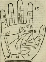 Picture 54 of 80 from Epitoma chyromantico di Patritio Tricasso da Cerasari Mantouano : nel quale si contiene tutte l'opere per esso Tricasso in questa scientia composte, con assai figure, & dichiarationi agiunte ; facilissimo ad imparare, & in breuissimo tempo (1538), leaf 264
