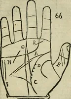 An illustration from Epitoma chyromantico di Patritio Tricasso da Cerasari Mantouano : nel quale si contiene tutte l'opere per esso Tricasso in questa scientia composte, con assai figure, & dichiarationi agiunte ; facilissimo ad imparare, & in breuissimo tempo (1538)
