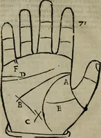 An illustration from Epitoma chyromantico di Patritio Tricasso da Cerasari Mantouano : nel quale si contiene tutte l'opere per esso Tricasso in questa scientia composte, con assai figure, & dichiarationi agiunte ; facilissimo ad imparare, & in breuissimo tempo (1538)