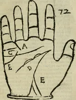 An illustration from Epitoma chyromantico di Patritio Tricasso da Cerasari Mantouano : nel quale si contiene tutte l'opere per esso Tricasso in questa scientia composte, con assai figure, & dichiarationi agiunte ; facilissimo ad imparare, & in breuissimo tempo (1538)