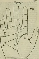 An illustration from Epitoma chyromantico di Patritio Tricasso da Cerasari Mantouano : nel quale si contiene tutte l'opere per esso Tricasso in questa scientia composte, con assai figure, & dichiarationi agiunte ; facilissimo ad imparare, & in breuissimo tempo (1538)