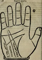 An illustration from Epitoma chyromantico di Patritio Tricasso da Cerasari Mantouano : nel quale si contiene tutte l'opere per esso Tricasso in questa scientia composte, con assai figure, & dichiarationi agiunte ; facilissimo ad imparare, & in breuissimo tempo (1538)