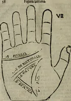 An illustration from Epitoma chyromantico di Patritio Tricasso da Cerasari Mantouano : nel quale si contiene tutte l'opere per esso Tricasso in questa scientia composte, con assai figure, & dichiarationi agiunte ; facilissimo ad imparare, & in breuissimo tempo (1538)