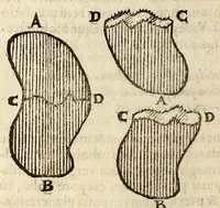 An illustration from Epitome astronomiae copernicanae, usitatâ formâ quaestionum & responsionum conscripta, inq; VII. libros digesta .. (1618)