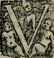 An illustration from Epitomes omnium Galeni Pergameni operum, vniuersam illius viri doctrinam, & methodu[m], quàm accuratissimè contine[n]tis, sectio prima-[quarta] (1548)